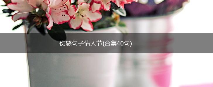 伤感句子情人节(合集40句),第1张