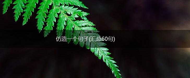 仿造一个句子(汇总60句),第1张