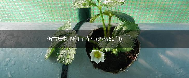 仿古景物的句子描写(必备50句),第1张