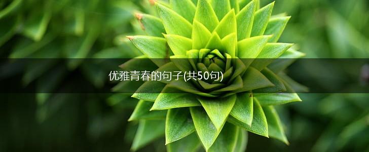 优雅青春的句子(共50句),第1张