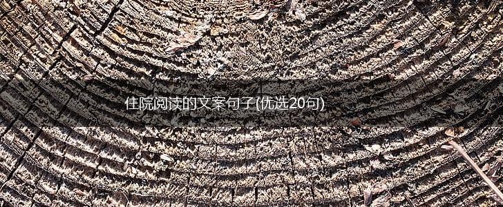 住院阅读的文案句子(优选20句),第1张