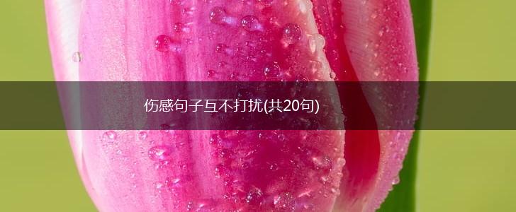 伤感句子互不打扰(共20句),第1张