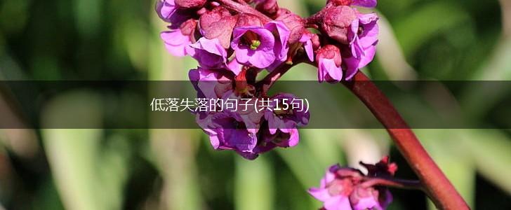 低落失落的句子(共15句),第1张