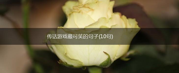 传话游戏最可笑的句子(10句),第1张