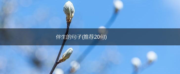 伴生的句子(推荐20句),第1张