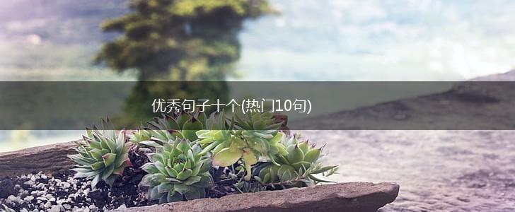 优秀句子十个(热门10句),第1张