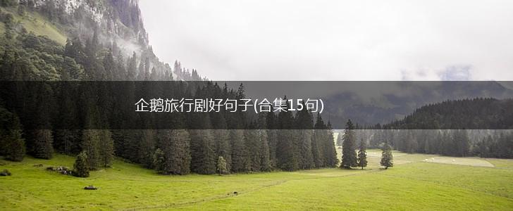 企鹅旅行剧好句子(合集15句),第1张