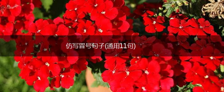 仿写冒号句子(通用11句),第1张