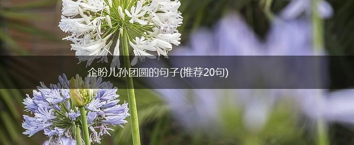 企盼儿孙团圆的句子(推荐20句),第1张