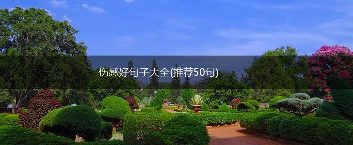 伤感好句子大全(推荐50句),第1张