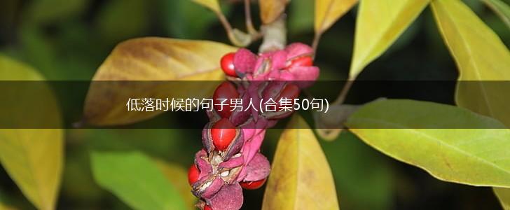 低落时候的句子男人(合集50句),第1张