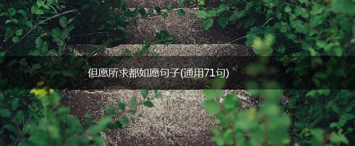但愿所求都如愿句子(通用71句),第1张