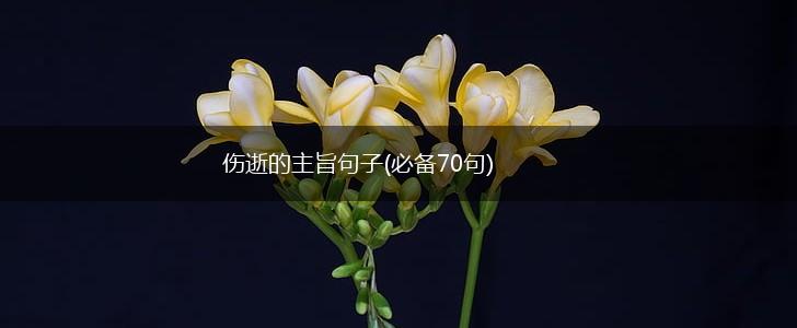 伤逝的主旨句子(必备70句),第1张