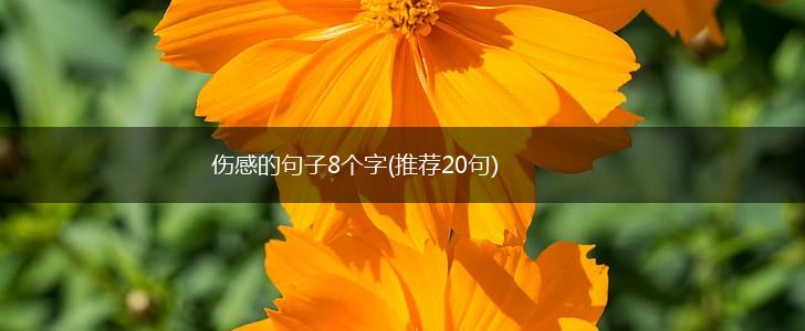 伤感的句子8个字(推荐20句),第1张