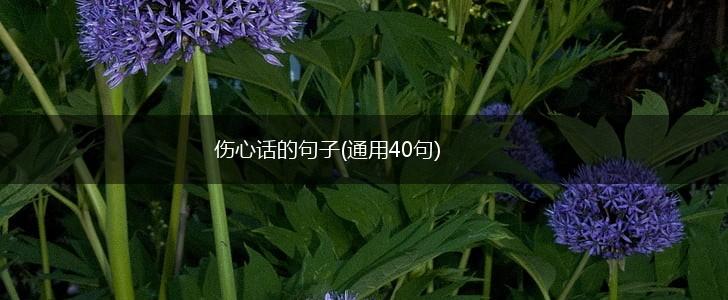 伤心话的句子(通用40句),第1张