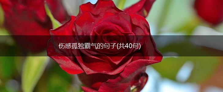 伤感孤独霸气的句子(共40句),第1张