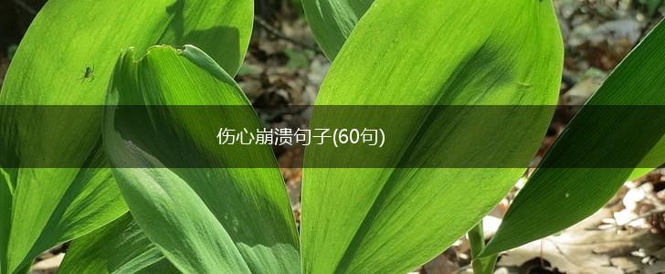 伤心崩溃句子(60句),第1张