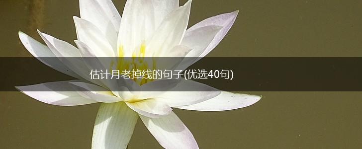 估计月老掉线的句子(优选40句),第1张