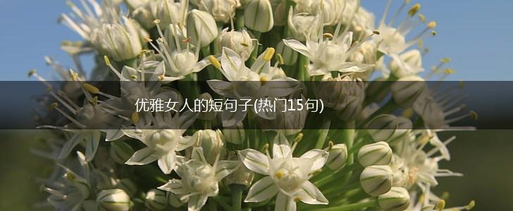 优雅女人的短句子(热门15句),第1张
