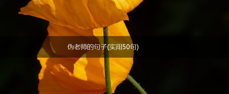 伪老师的句子(实用50句),第1张