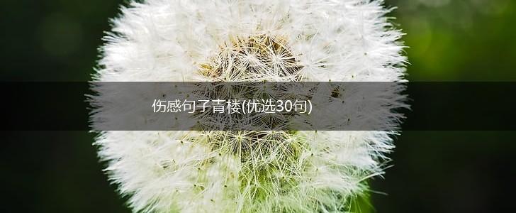伤感句子青楼(优选30句),第1张