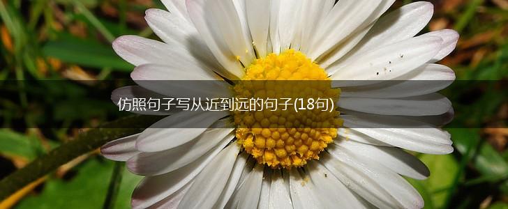 仿照句子写从近到远的句子(18句),第1张