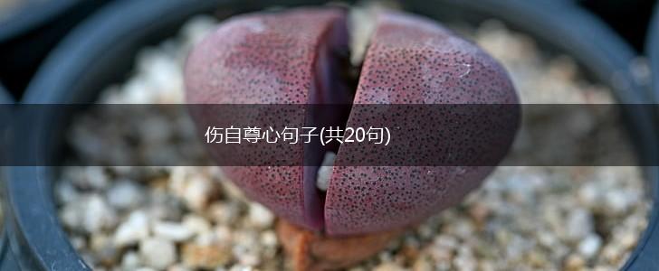 伤自尊心句子(共20句),第1张