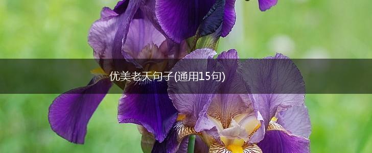 优美老天句子(通用15句),第1张