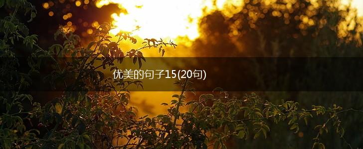 优美的句子15(20句),第1张