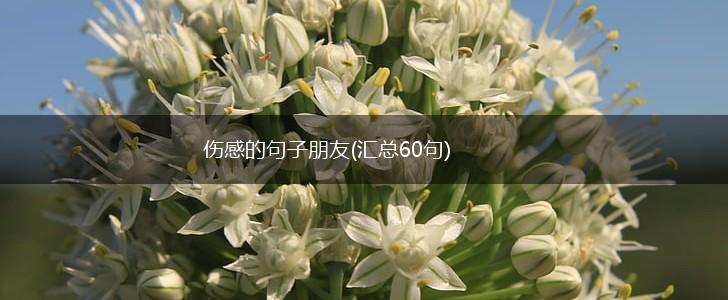 伤感的句子朋友(汇总60句),第1张