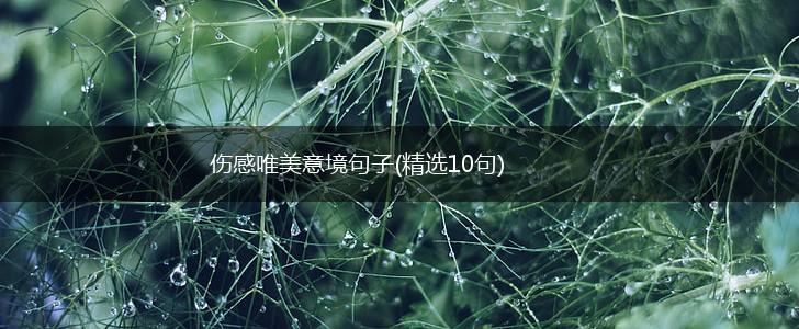 伤感唯美意境句子(精选10句),第1张