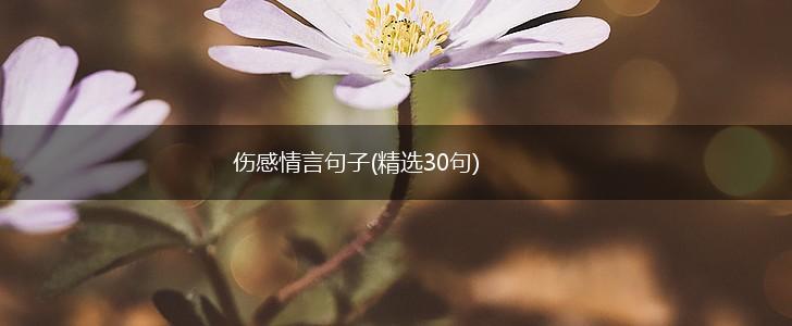 伤感情言句子(精选30句),第1张