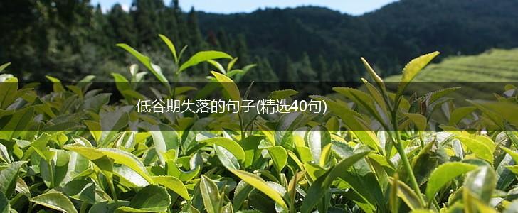 低谷期失落的句子(精选40句),第1张