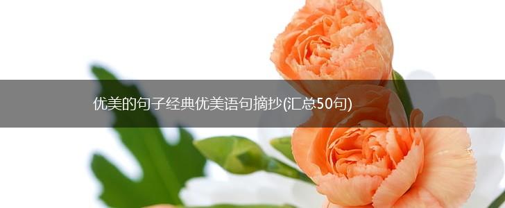 优美的句子经典优美语句摘抄(汇总50句),第1张