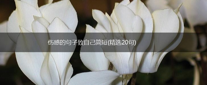 伤感的句子致自己简短(精选20句),第1张