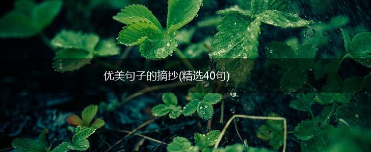 优美句子的摘抄(精选40句),第1张
