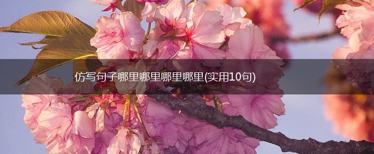 仿写句子哪里哪里哪里哪里(实用10句),第1张