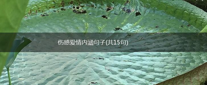 伤感爱情内涵句子(共15句),第1张