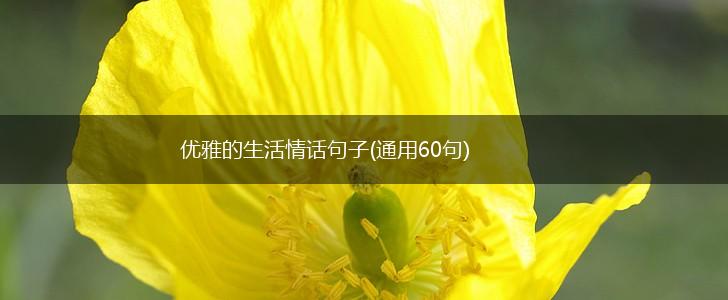 优雅的生活情话句子(通用60句),第1张