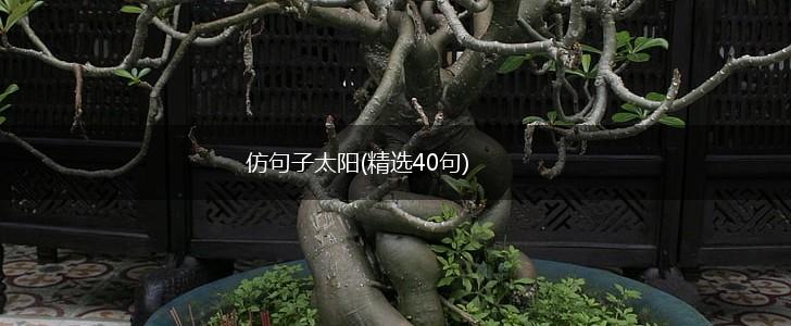 仿句子太阳(精选40句),第1张