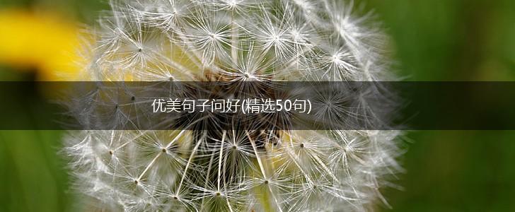 优美句子问好(精选50句),第1张