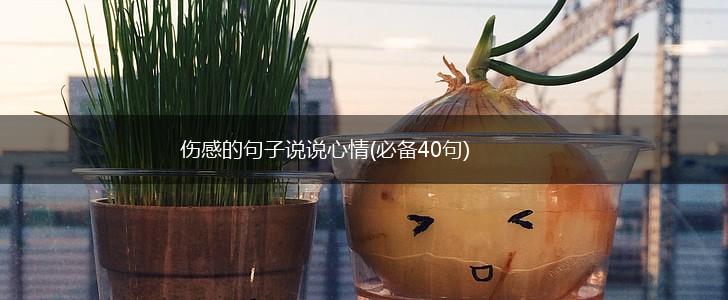 伤感的句子说说心情(必备40句),第1张