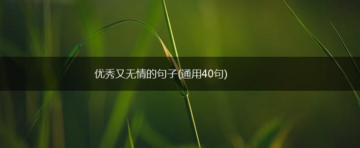 优秀又无情的句子(通用40句),第1张