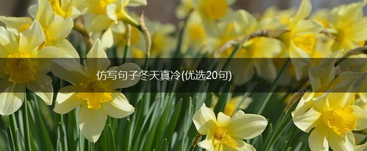 仿写句子冬天真冷(优选20句),第1张