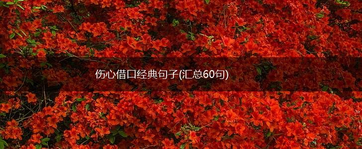 伤心借口经典句子(汇总60句),第1张