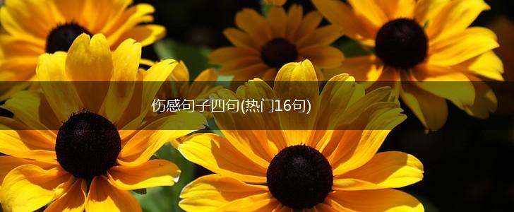 伤感句子四句(热门16句),第1张