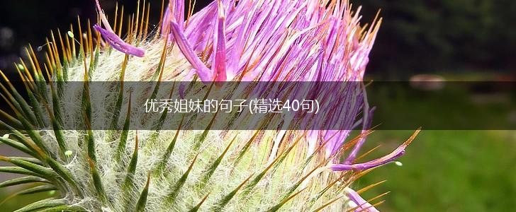 优秀姐妹的句子(精选40句),第1张