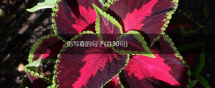 仿写春的句子(共30句),第1张