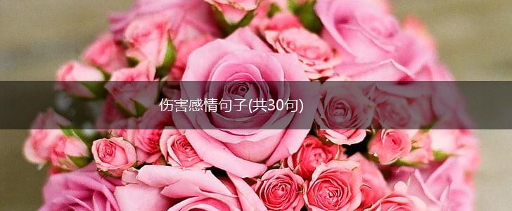 伤害感情句子(共30句),第1张