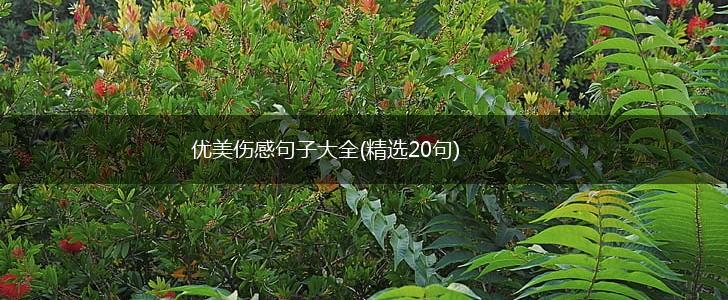 优美伤感句子大全(精选20句),第1张